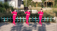 经典黄梅戏广场舞《女驸马》演唱：童丽，简单24步，简单好学