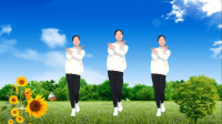 广场舞《百花香》最新网红歌曲简单32步健身操