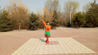 广场舞《草原月亮》优美大气的蒙古舞！