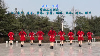老师们的背影优雅好看，跳的广场舞《中国味道》很精彩，跳出了中国味道