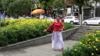 达州姹紫嫣红广场舞，正背示范《关东大秧歌》，达川仙鹤广场