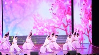 溆浦县排舞广场舞协会2020迎新春联谊会《凉凉》（表演：禅韵瑜伽舞蹈队）