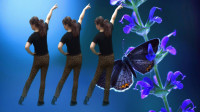 在家就能跳的广场舞《花蝴蝶》，超简单超好听，提高免疫力身体好