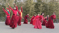 公园大妈跳广场舞《爱的部落》舞步简单好看，紫竹院杜老师舞蹈队