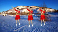 网红歌曲广场舞《又见雪花飞》节奏欢快，简单易学特好看！