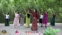 紫竹院广场舞《鸿雁》，小红领舞，怎么可以这么美！