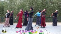 紫竹院广场舞《梦见你的那一夜》，王鹤老师领舞，变三角队形