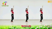 杨丽萍原创广场舞《等到花儿开》全网首发简单32步子舞教学