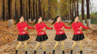 柔美广场舞《花蝴蝶》，动感的节奏，轻盈的步伐，漂亮！