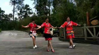 广场舞《苗乡情》贵州少数民族风情歌舞，好听更好看！