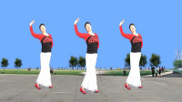 姃姃广场舞《母亲》原创形体舞背面演示，适合零基础入门学跳