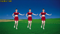 李玲玉演唱一首老歌《情网》广场舞动作简单时尚32步