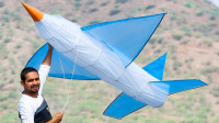 巨大的飞机风筝可以飞向蓝天吗？新奇趣味实验，一起来见识下！