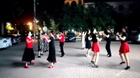 河北沧州女人花舞蹈队 2020最火广场舞网红舞蹈 双人对跳32步《微笑吧》
