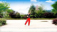 清荷广场舞《欢乐的节奏》适合在大广场上跳的步子舞
