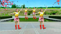 广场舞《想西藏》新颖简单的舞步，优美好看易学