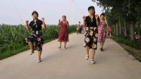 禹城伦镇付庄娱乐点，叠道村爱舞者一支广场舞，快乐春天录制。