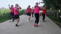 禹城伦镇付庄娱乐点，城子坡爱舞者一支广场舞。快乐春天录制。