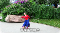 达州姹紫嫣红广场舞，藏族舞《我的家乡叫天堂》正背面演示，编舞凤凰六哥