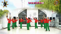 阳光美梅广场舞《红枣树】古典形体舞-团队版