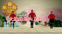 精选入门广场舞《火辣辣的山里红》最美简单步伐，好看又好学！