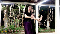 紫竹院广场舞《歌在飞》，看过睿睿母女跳的这支舞吗？