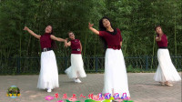 紫竹院广场舞，孙姐姐领跳《心在云上飞》，真是美极了！