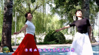 紫竹院广场舞《草原恋》，看亚南和青花瓷的舞蹈会令人沉醉！