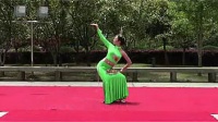 傣族舞蹈彩云之南周思萍广场舞教学