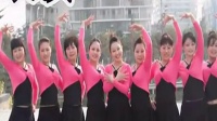 美久广场舞表演 最炫民族风舞蹈教学13版_高清