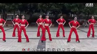 《伤不起》广场舞蹈视频大全_标清