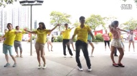 欢乐海洋龙城广场舞蹈教学—社会摇（1） 