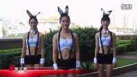2014最新兔子舞广场舞蹈视频大全健身舞