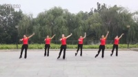 最炫民族风广场舞 广场舞视频大全 广场舞生活视频