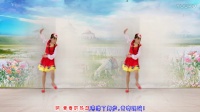 藏族舞《青春踢踏》华美舞动广场舞附教学