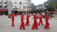 广场排舞   广场舞  集体舞  天上的西藏 遂昌平昌广场