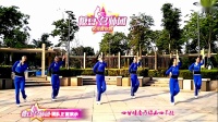 踏雪寻梅舞蹈队学习的健身广场舞合集共10支《第二集》