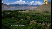 喜迎十九大特别节目·发现新西藏 沙滩 林地 种树人 170929