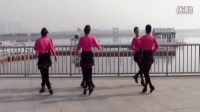 双人舞十四步 广场舞兰香组合 广场舞蹈视频大全
