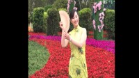 祺袍舞（2017母亲节）白牡丹，黄牡丹，红牡丹表演