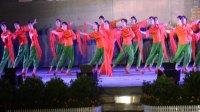 《九儿》--麻阳东方广场舞排舞协会