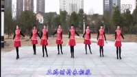 2016年最新广场舞《恭喜你》广场舞蹈视频大全2016