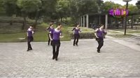 紫紫雨广场舞 傣家姑娘（清晰）