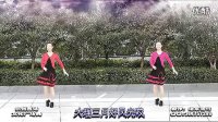 杭州西湖文化广场舞 蝴蝶泉边(含分解）