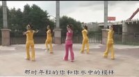 荷塘月色-广场舞视频