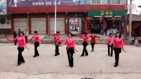 小小新娘花 广场舞 （陕西省蒲城县苏坊镇） 全民健身