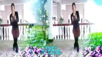 峡谷视频广场舞《走你2013》含背面演示