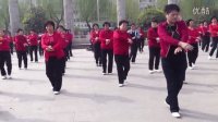 红康百人广场舞(美丽的蒙古包)