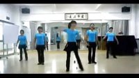 自由飞翔教学视频视频大全全集 广场舞教程