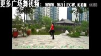 叶子广场舞视频教程  蒙古之花（附背面分解） 